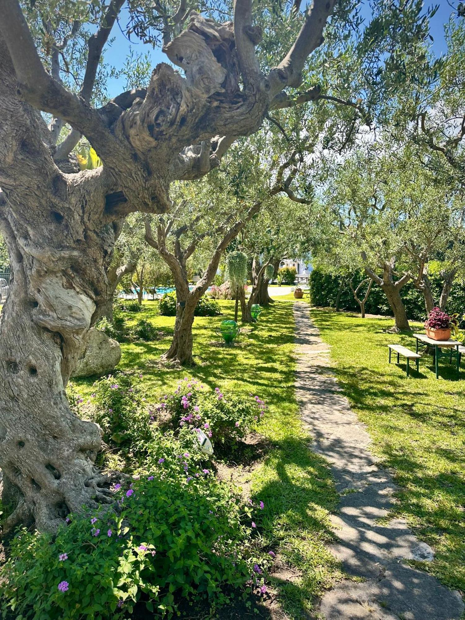 Hotel Boutique Ischia Extérieur photo