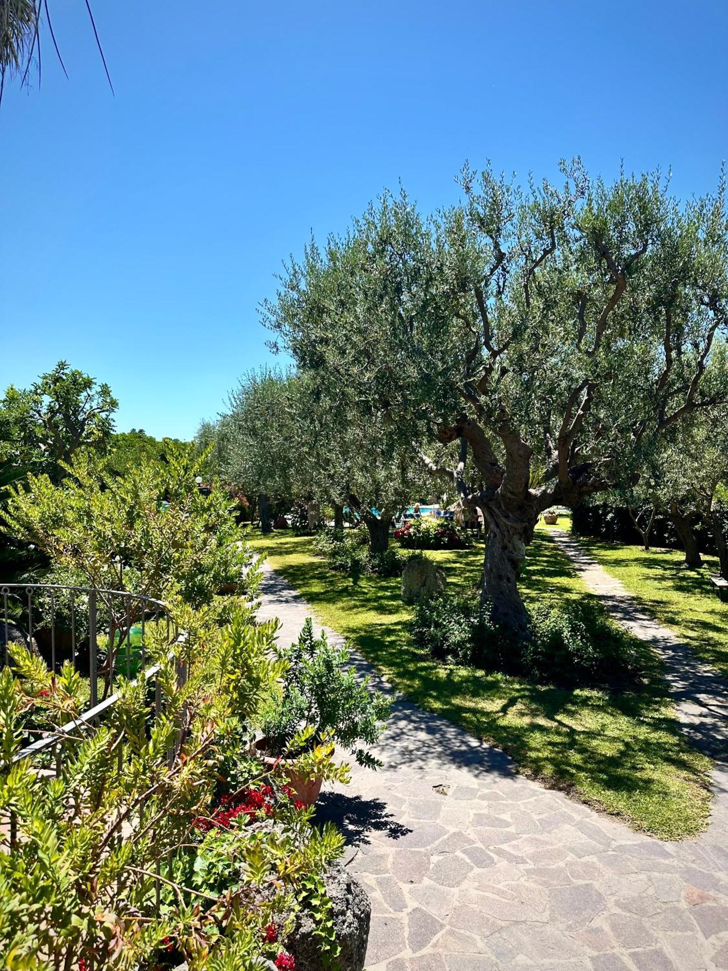 Hotel Boutique Ischia Extérieur photo