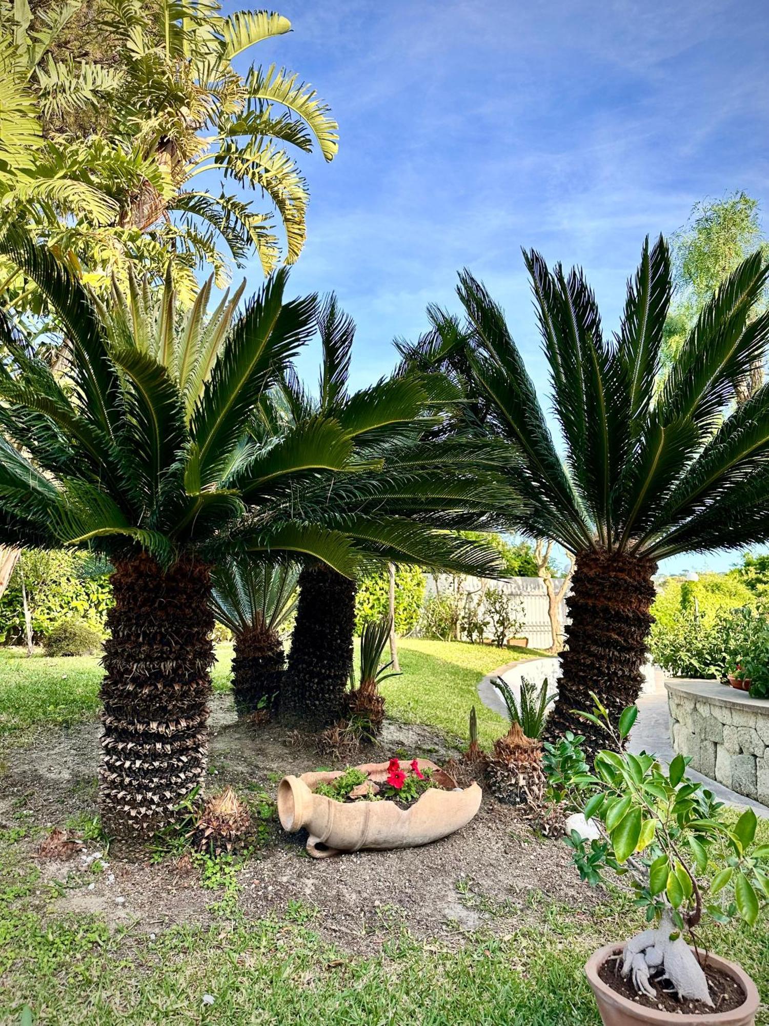 Hotel Boutique Ischia Extérieur photo